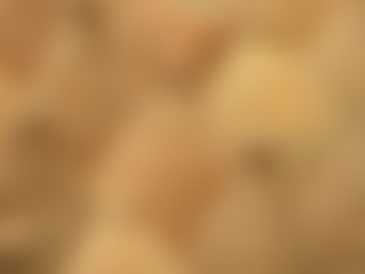 LPQR / L'archéologie : et après ?