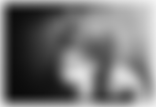 [BROUILLAGE 2016] Emission spéciale - Radio et mob...