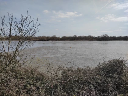 Reconnaître des droits à la nature 2/2 - L'Europe vue d'ici #137