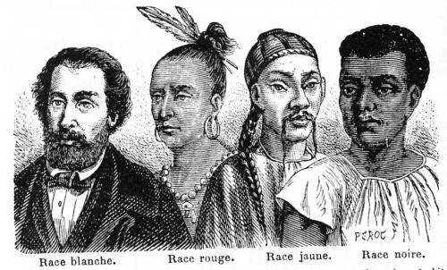 Épisode Les Labos de l'Histoire : L'invention de la race de l'émission Les labos de l'histoire