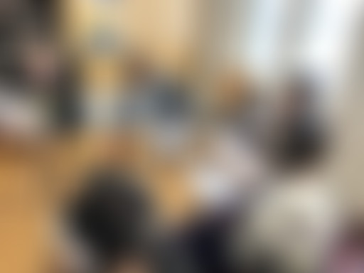 Les émissions de la 4ème B du collège Paul Langevi...