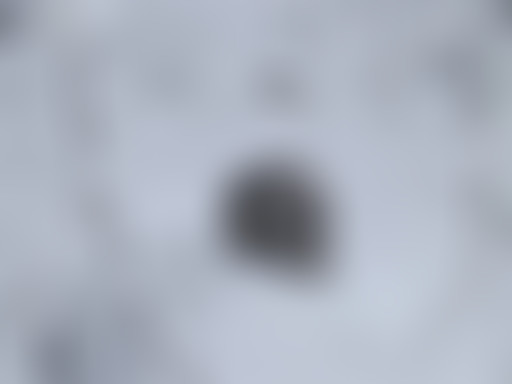 Chablis Hebdo // En hiver, les gens meurent