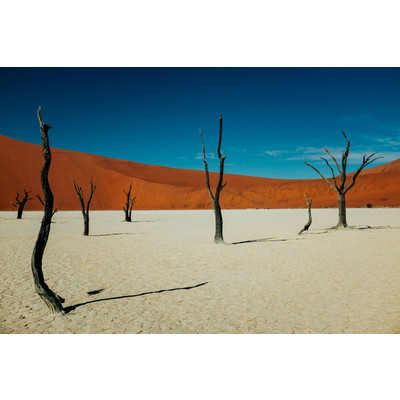 Mappemonde : Afrique australe 1 episode artwork