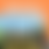 S1 EP08 LE CHATEAU DE MONTE-CRISTO, SUR LES PAS D'...