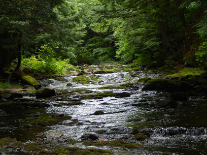 Quelle place voulons-nous donner à la nature ?