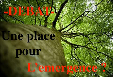 Épisode Pièces détachées : Une place pour l'émergence ? de l'émission Pièces détachées