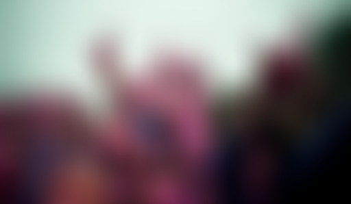 Novorama / Festivals de rentrée