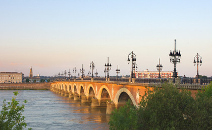 À la veille des municipales, Wild Legal mobilise les candidats pour la nature