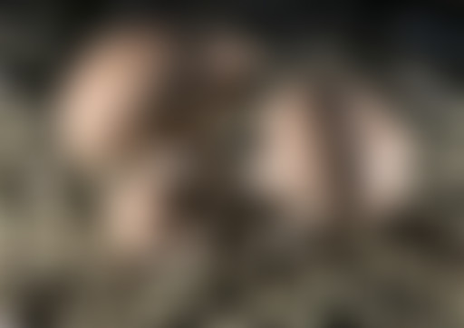 (PODCAST) Emission du 2 novembre : tout sur le cha...