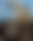 To be (two) or not to be, dimanche 2 novembre