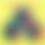 Bam Salute special Tony Tuff & Ladies