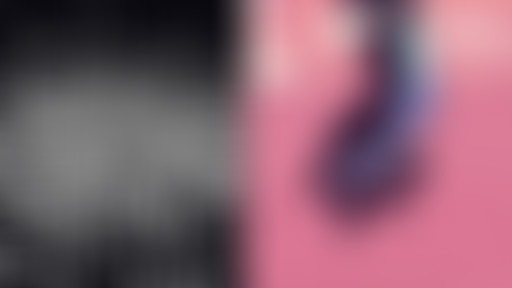 Novorama - spéciale Trans Musicales / Bars En Tran...