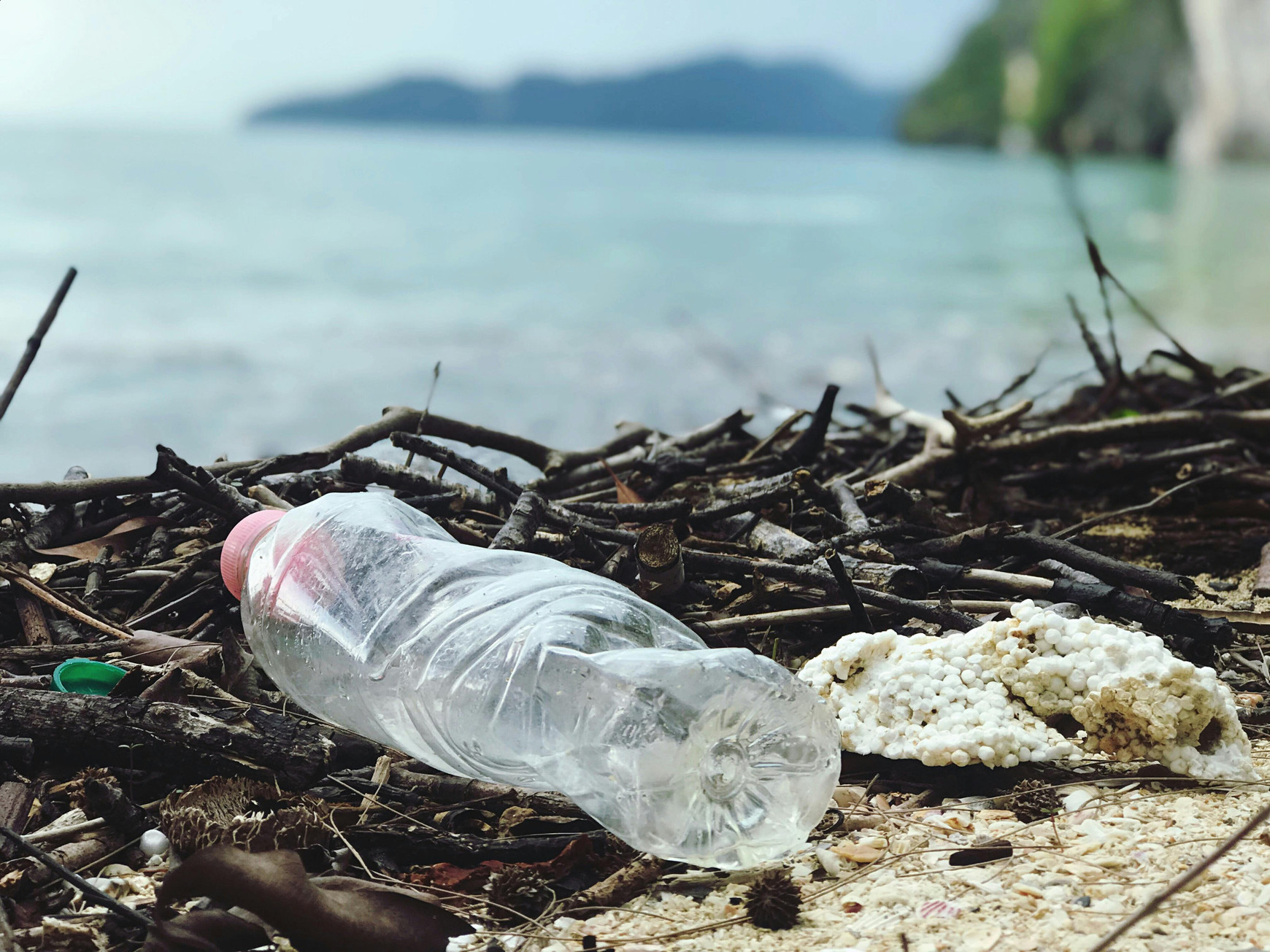 Photo de Catherine  Sheila - Pexels La pollution plastique des océans (2/2)