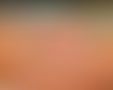 Chablis n'a pas de répartie