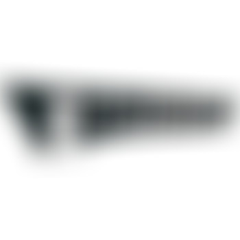 Bam Salute special Studio One