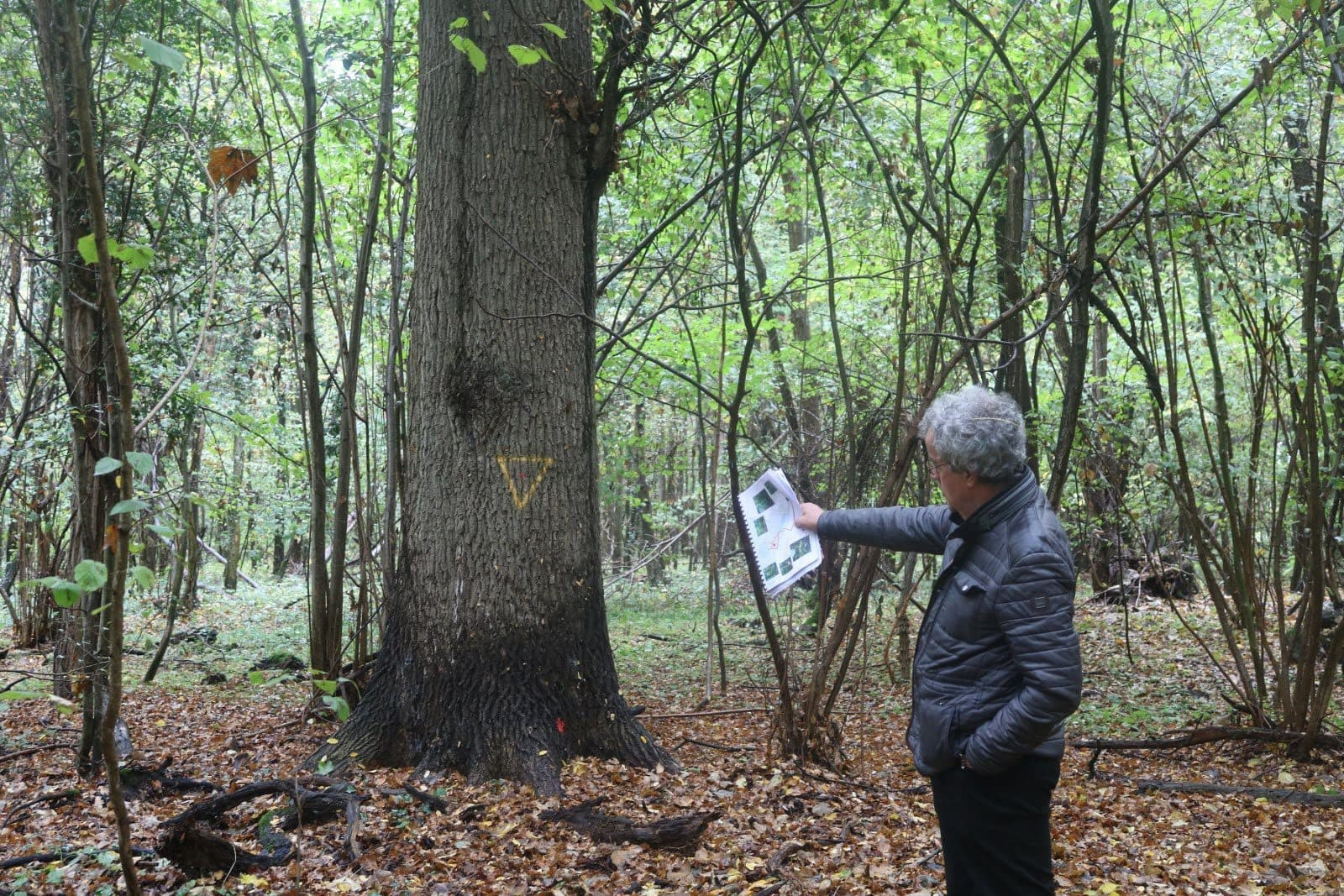 Le maire Patrick Barbier dans la forêt sanctuaire de sa commune de Muttersholtz, le 9 novembre 2022. © Deborah Liss - L'Alsace - Maxppp Capitale française de la biodiversité 2025 : Muttersholtz montre à nouveau l’exemple