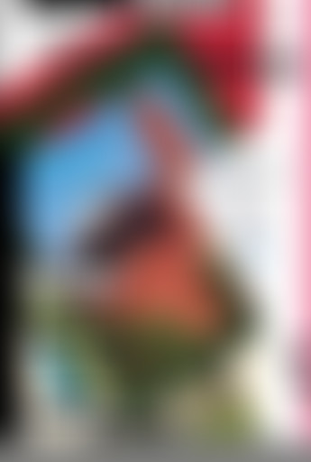 En Pleines Formes : la revue Profane