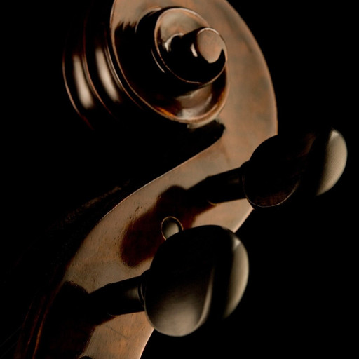 Amplitudes : Cordes