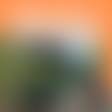 S1 EP09 EN VELORAIL DANS L'ETAMPOIS