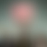 Tout Foutre On Air reçoit les Naive New Beaters!