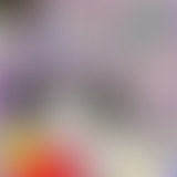 Nous visitons Paris | épisode 3 : au sommet de la...