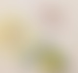 Mercredi ! La Terre serait-elle plate ?