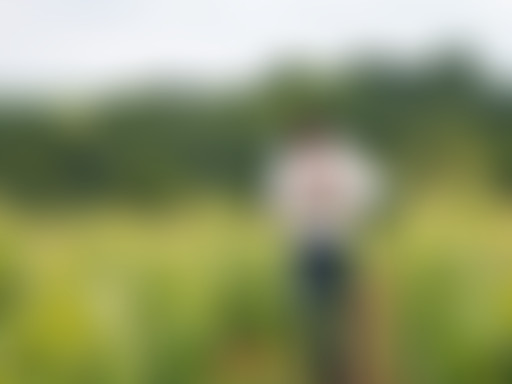 Reportages en Muscadet