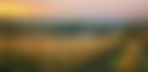 LCSLT : Cahors, le cador des vignobles du sud-oues...