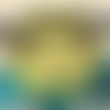 Requiem Pour Un Twister: Coupe du Monde 2018