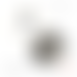 MUSIQUES HYBRIDES - La Biguine d'Ernest Léardée