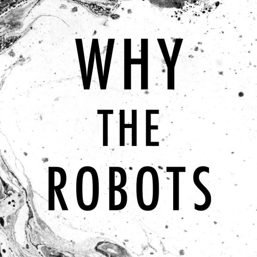 Épisode L'apéro #3 : Why The Robots et le top / flop des 2... de l'émission Radio Camping Paris