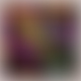 La Ligue Des Albums Incompris / Billy Idol (Ep.14)