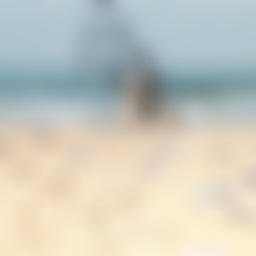 Récréation sonore : Celui qui n'a pas de terre..