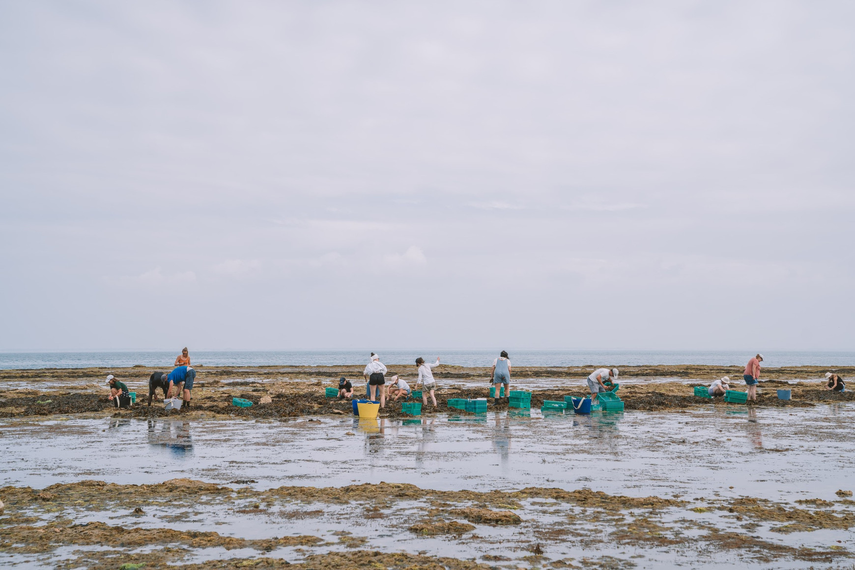 Blutopia - Malaury Morin Blutopia : préserver l'océan, manger autrement