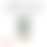 Tropical Club plage #31