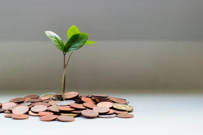 Fiscalité verte et commerce mondial : le dilemme du Green Deal