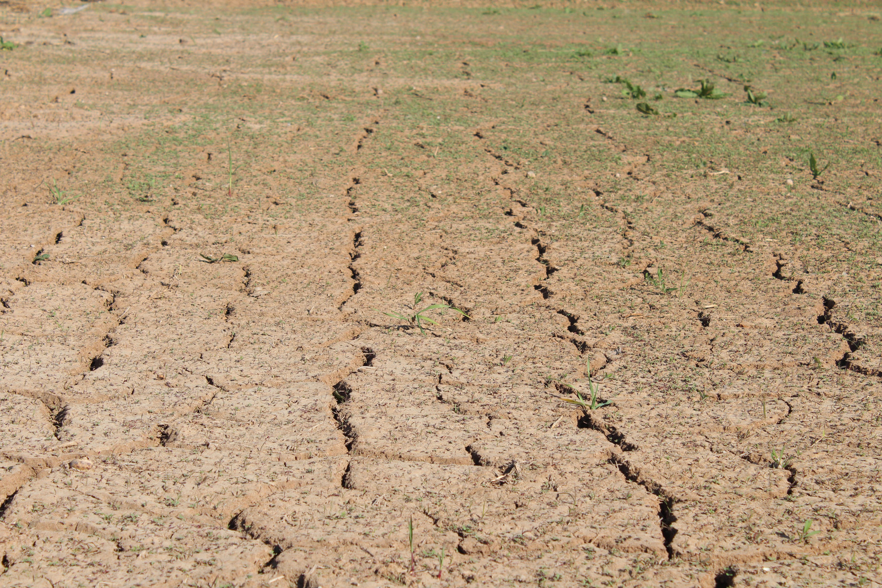 ©Photo de rol Estrell Les incertitudes climatiques et l’agroécologie -