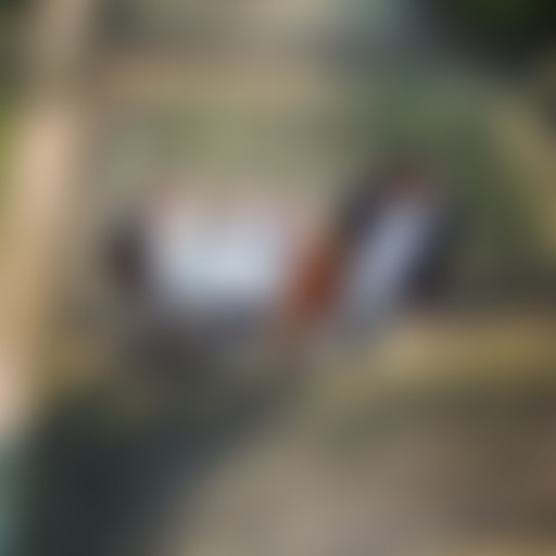 InSitu#16- Le jardinage new age avec Dr Jonquille...