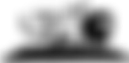 Bam Salute special Wackie's