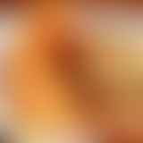 Amplitudes : La bonne chère