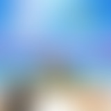 Tropical Club plage #37