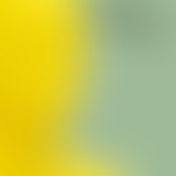 Novorama du 11 mai 2015 avec l'interview de Benjam...