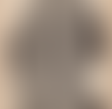 Sandwich Triangle - Albane Chaar