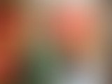La Matinale de 19h - Décidons Paris