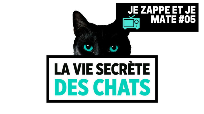 Épisode Je zappe et je mate #05 - La vie secrète des chats de l'émission Je zappe et je mate