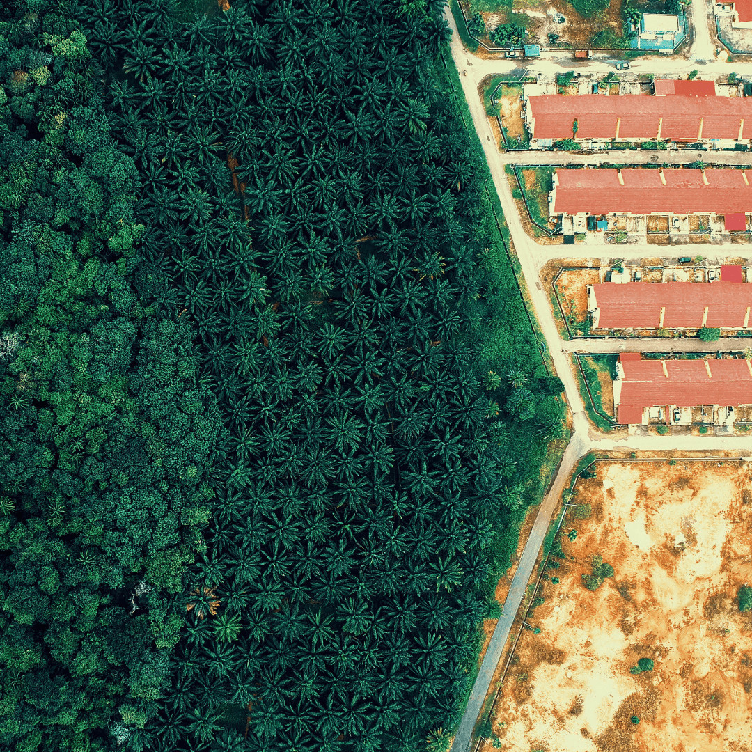 Pxhere La nature en partage