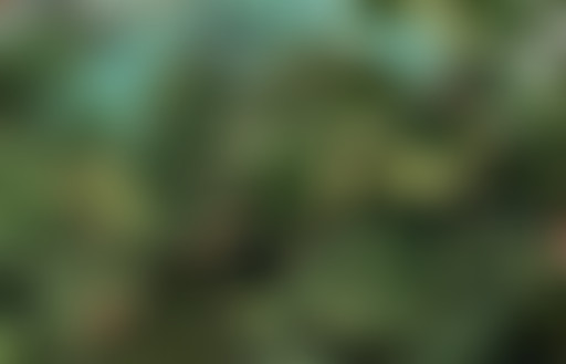 Art'cousmatique #14 Rivière Monk