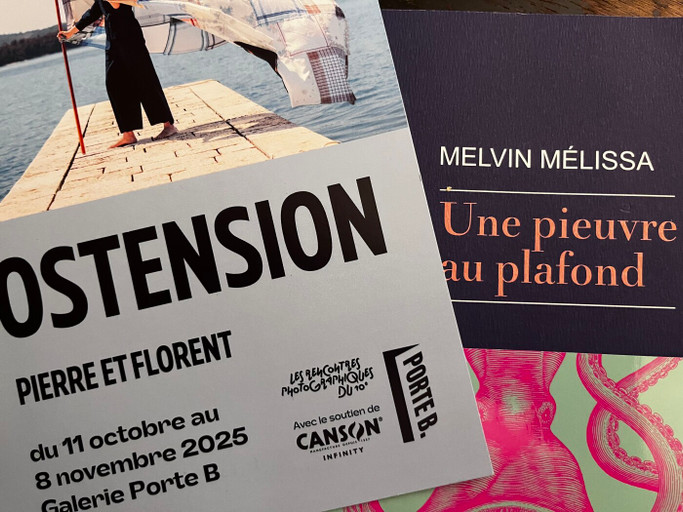 Épisode Melvin Mélissa Une pieuvre au plafond (Ed. Rivages... de l'émission La Relève