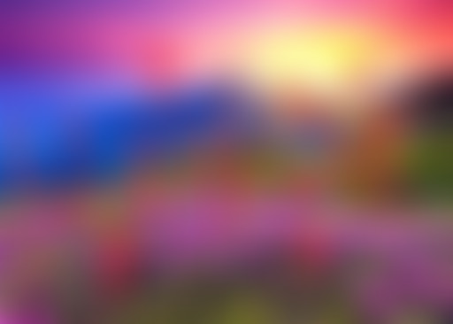 Sandwich Triangle / Dj Bon Goût