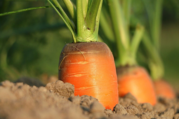 Épisode À la Recherche d'une Agriculture Logique de l'émission L'Atome de Savoir